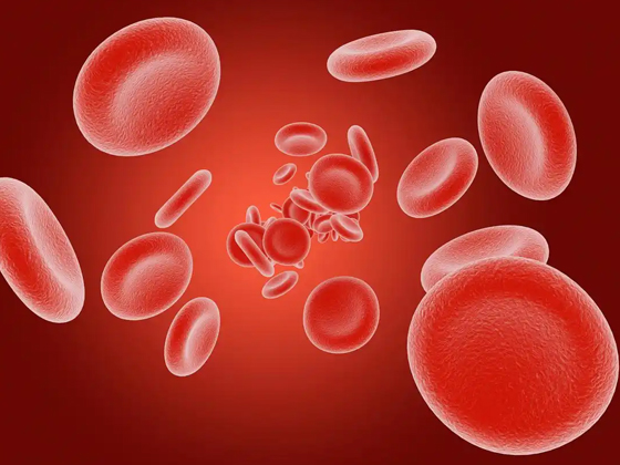 血小板与健康的紧密联系