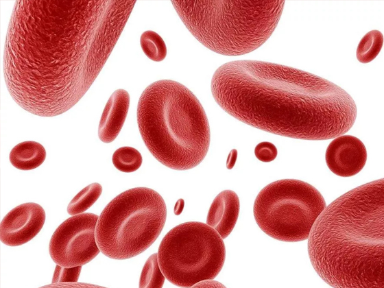 血小板：必不可少的血液细胞